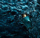 Victoriia's Secret Veryy Sexyy Sea Eau De Perfume (ZYDROP)