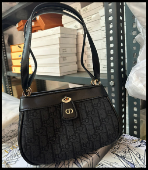 Christiann Diorr Key Oblique Small Bag with OG Box (ZYDROP)AV022