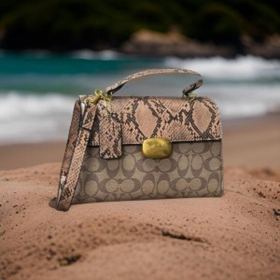 Coachh Crossbody Lady Bed with Box (ZYDROP)AV063