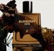 Burberry Hero Eau De Parfum (ZYDROP)