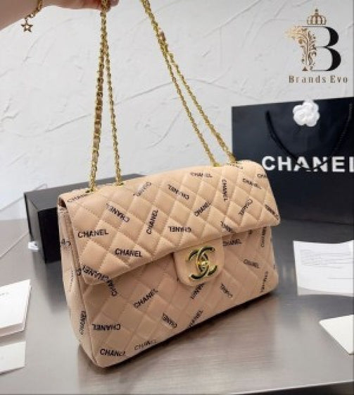 Chanell Paris Boy Bag Python Multi Logo Shoulder Bag (ZYDROP)AV014