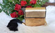 Marrc Jaacobs Decadence one Eightt K Edition EDP (TURKEY)(ZYDROP)