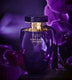 VICTORIASS SECRET VERy SEXY ORCHID (ZYDROP)