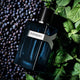 Yvess Saint Laaurent intense EDP(ZYDROP)