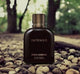 Dollce Gaabbana Intennso Pour Homme edp (ZYDROP)