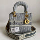 Christiian Diior Lady Bag with Brand Box (ZYDROP)AV023