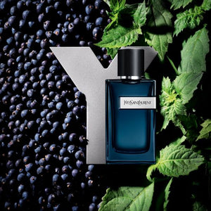 Yvess Saint Laaurent intense EDP(ZYDROP)